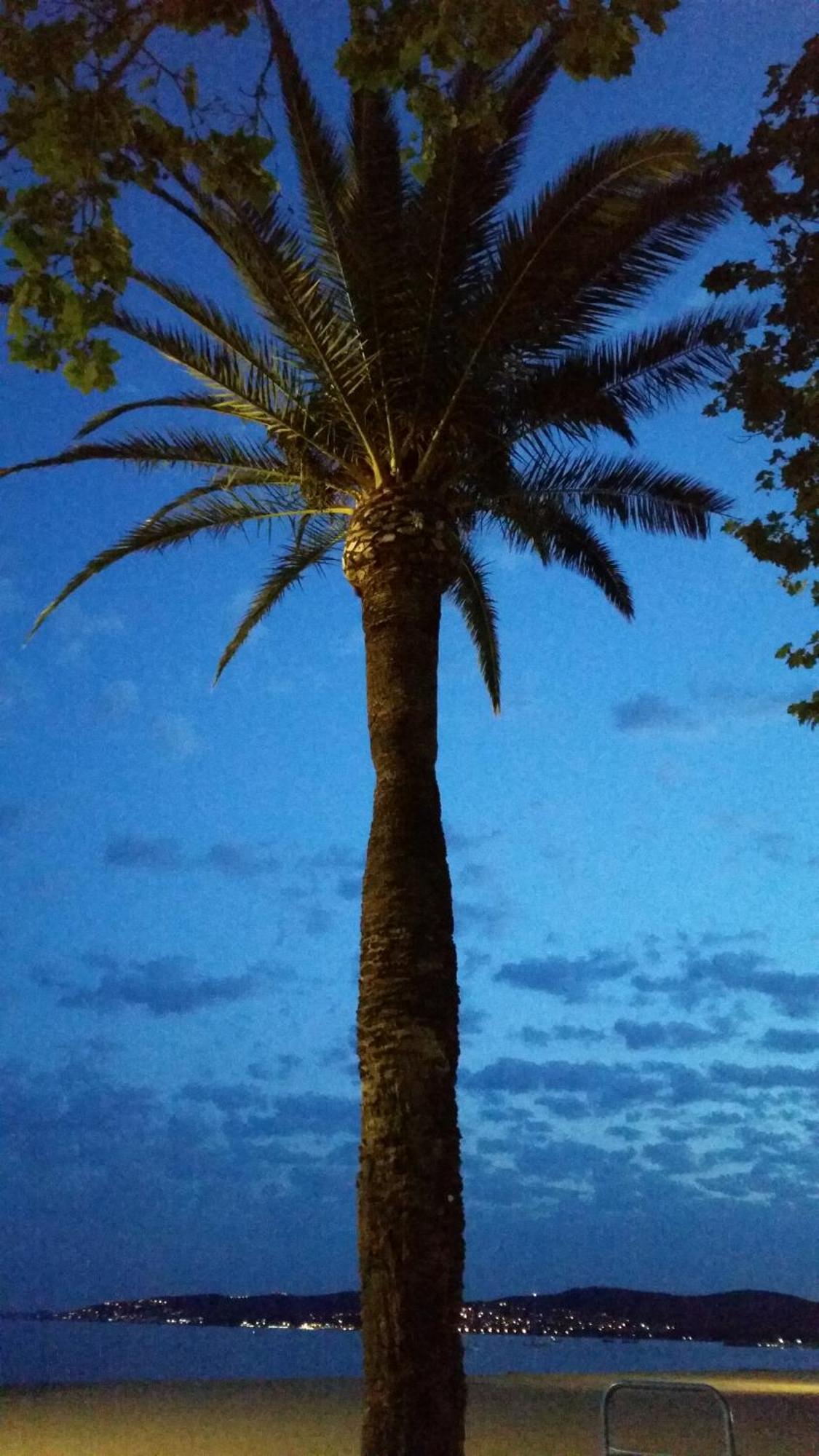 Sublime Vue Mer,Parking,Wifi Fréjus Exteriör bild